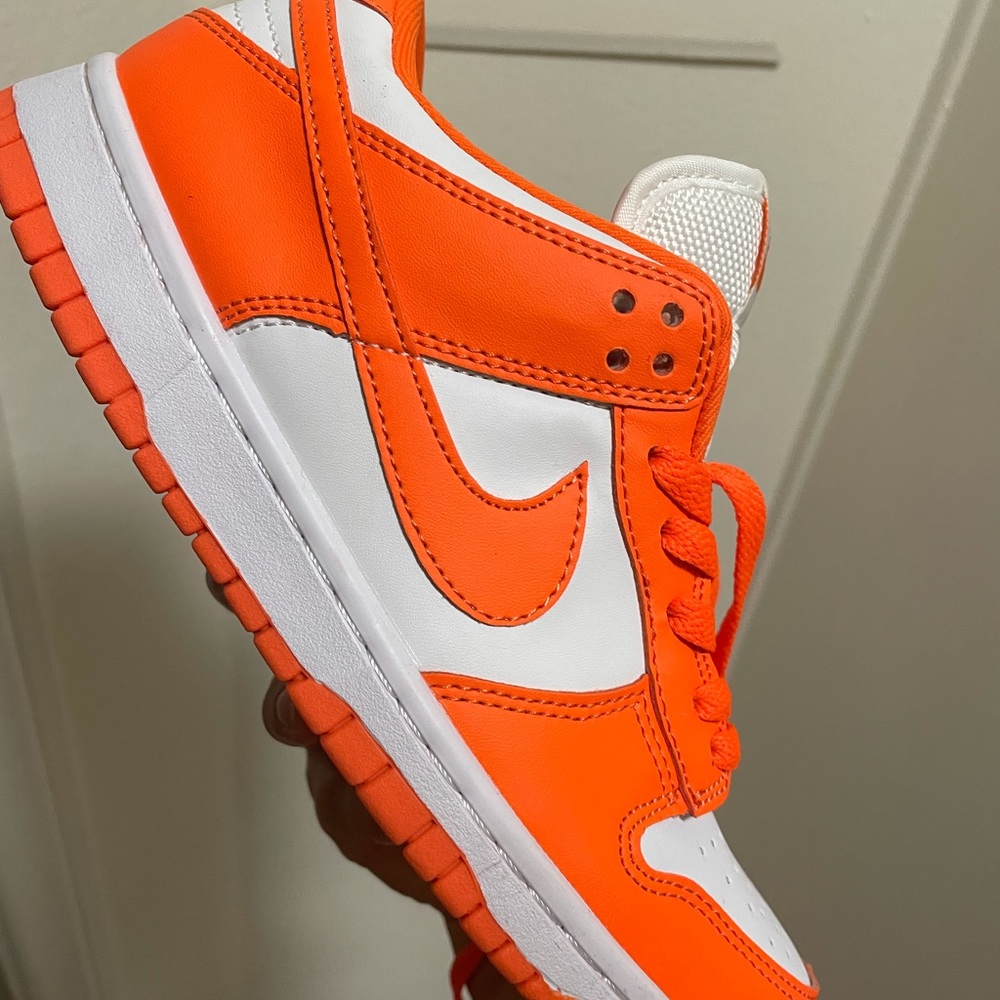 Nike DUNKS